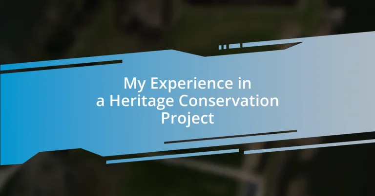 My Experience in a Heritage Conservation Project